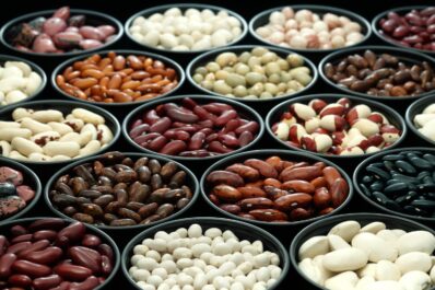 Types of beans: robust, heirloom & new varieties