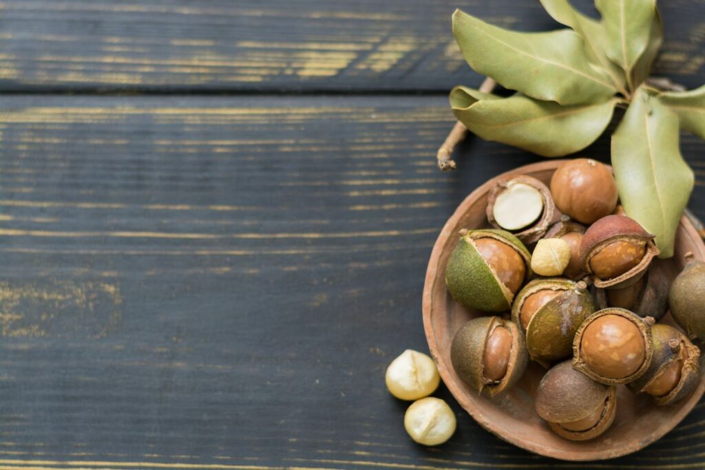 Shelled and half-shelled macadamia nuts are plated and surrounded by macadamia leaves and shelled macadamias