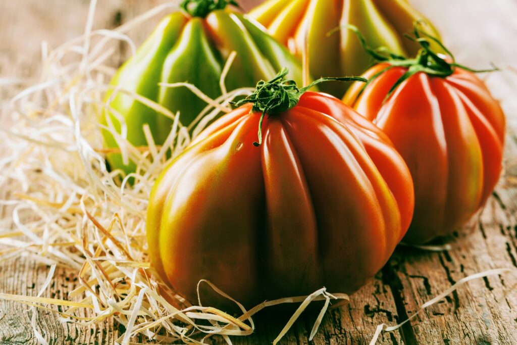 Two oxheart tomatoes on a table