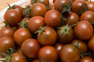Black Cherry tomato: growing tips & care
