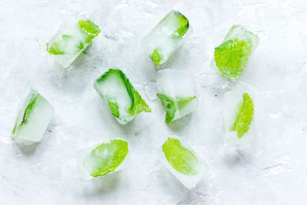 freeze fresh mint