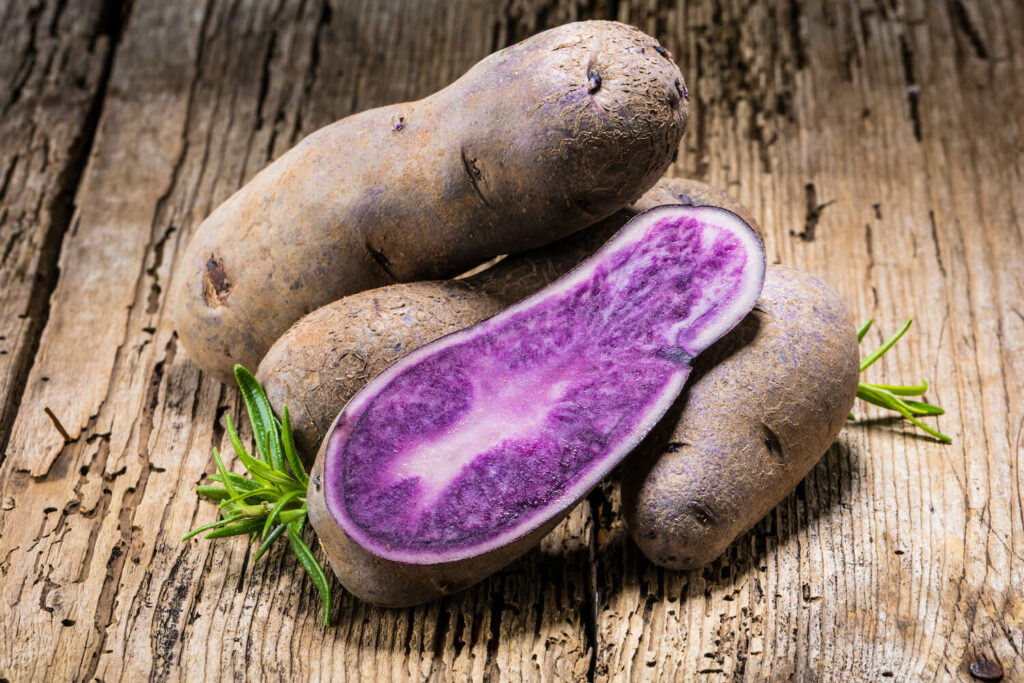 Long shape and marbled colour of vitolette potato