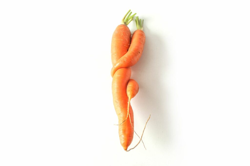 Two carrots wrapped around one another