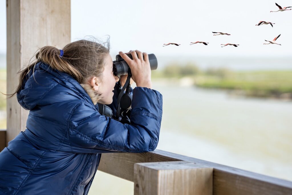 A girl uses binoculars to bird watch