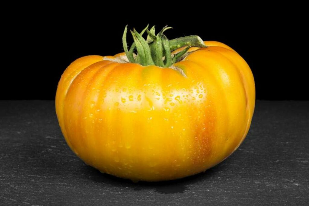 yellow hillbilly tomato 