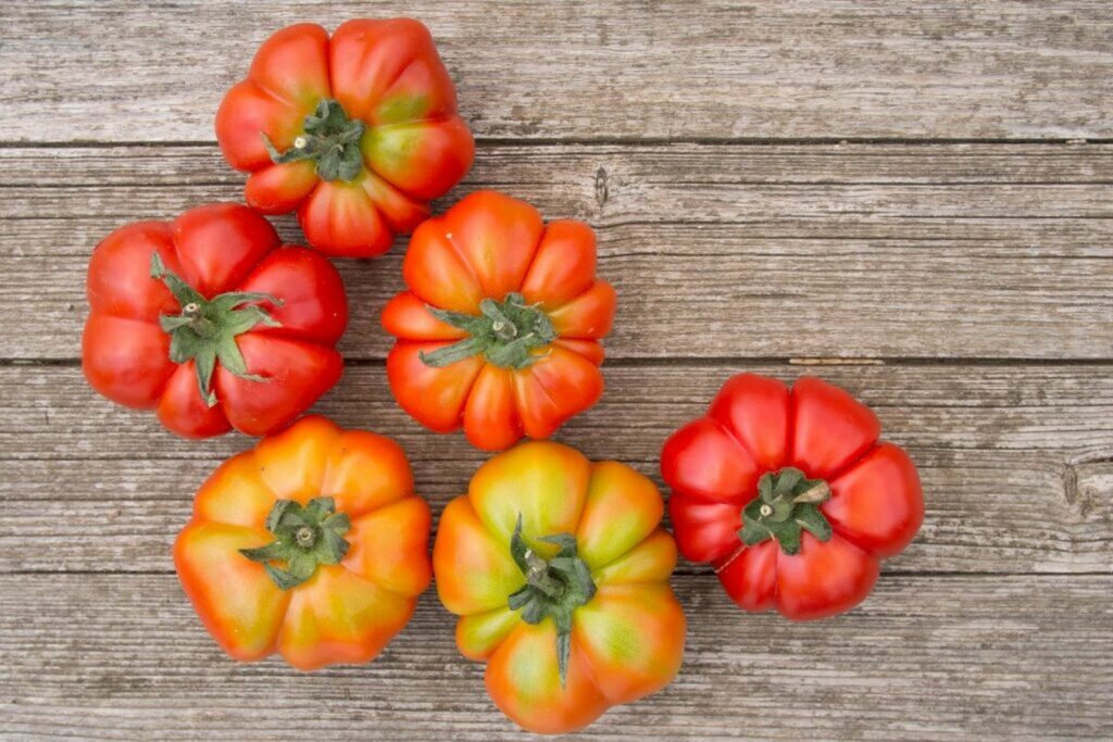 costoluto genovese tomatoes