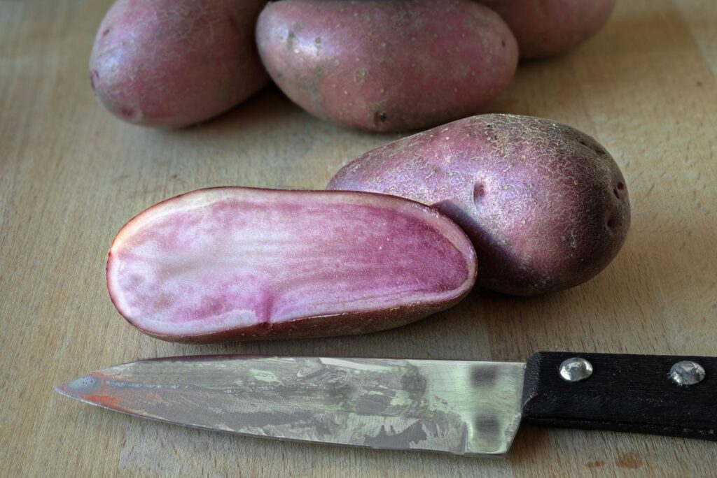 Cut open red skin and flesh of emmalie potato
