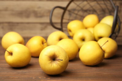 Golden Delicious apple: taste, blossom & harvest