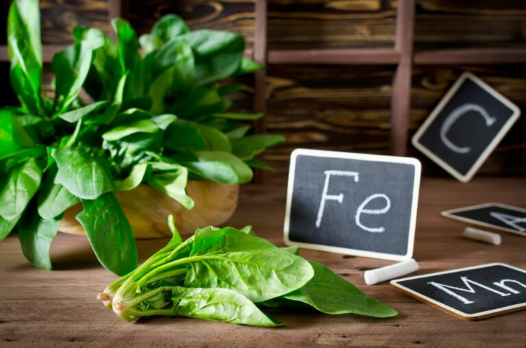 Ironrich vegetables 10 vegetables high in iron Plantura