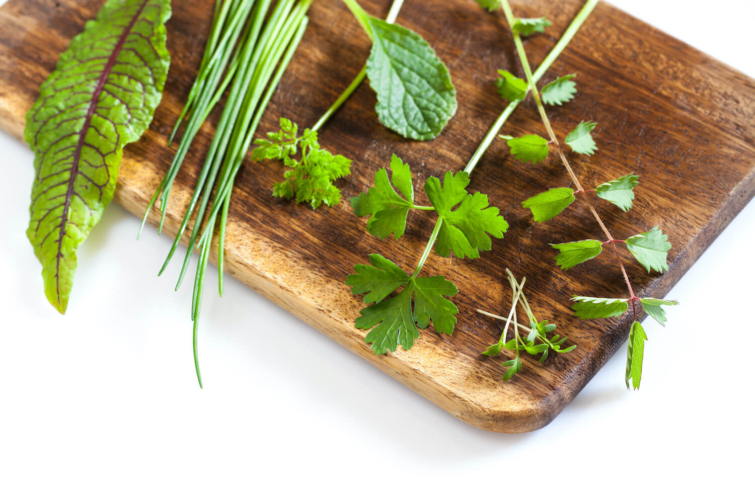 Salad location, harvest & use Plantura