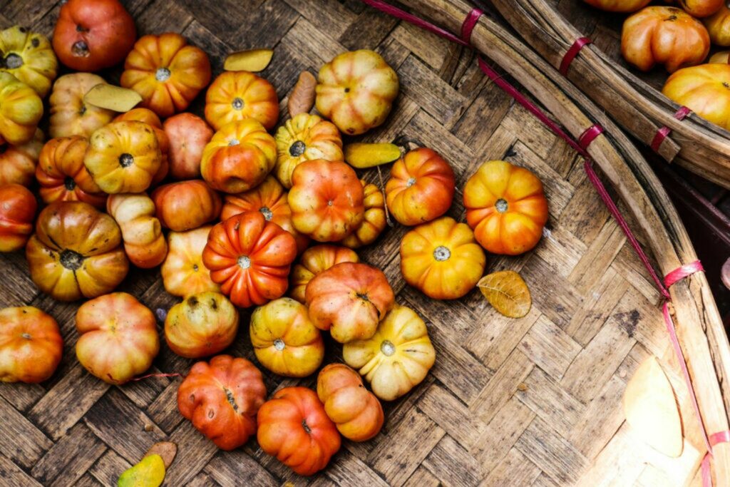 big rainbow tomatoes