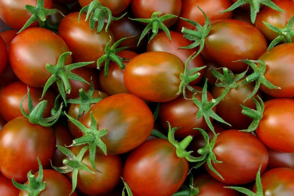 Ripe Black Plum tomatoes