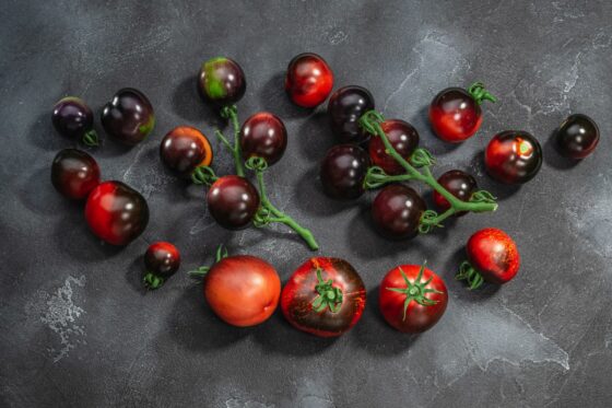 Dark Galaxy tomato: how to grow the dark tomato variety