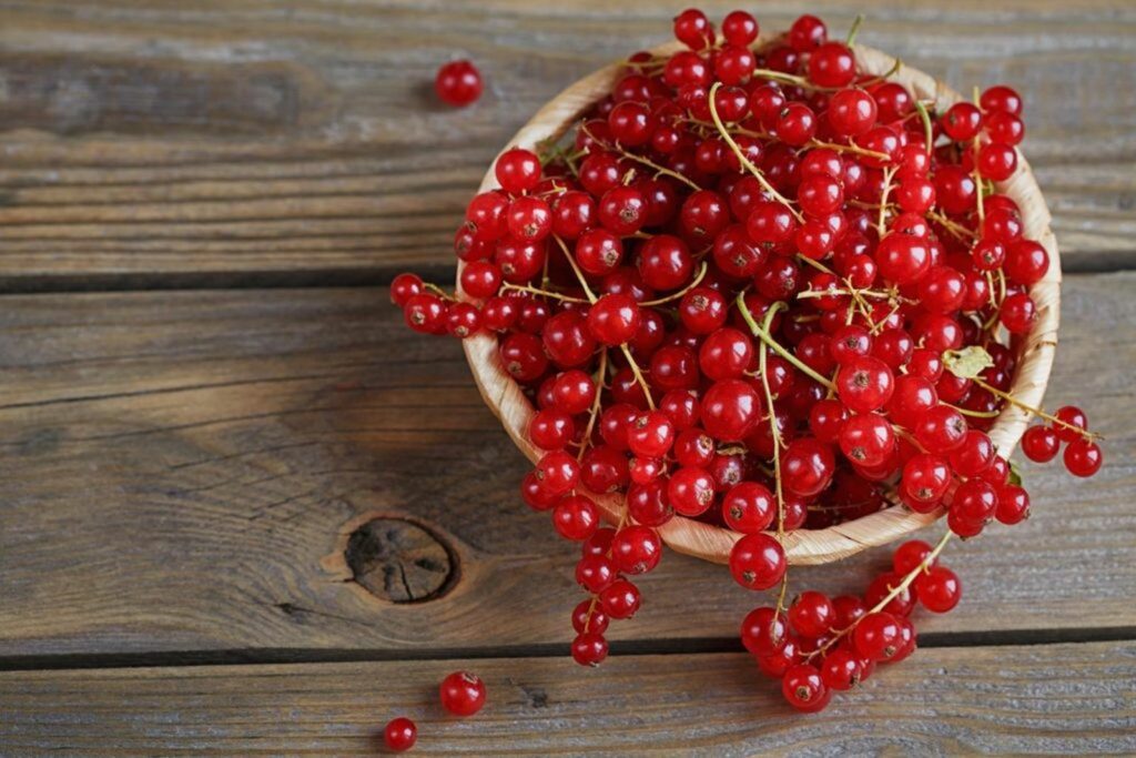 Red currants on table