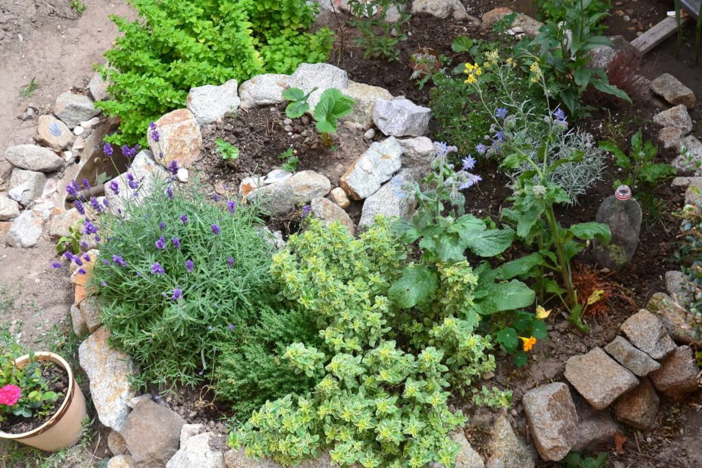 Stone spiral structure filled with herbs