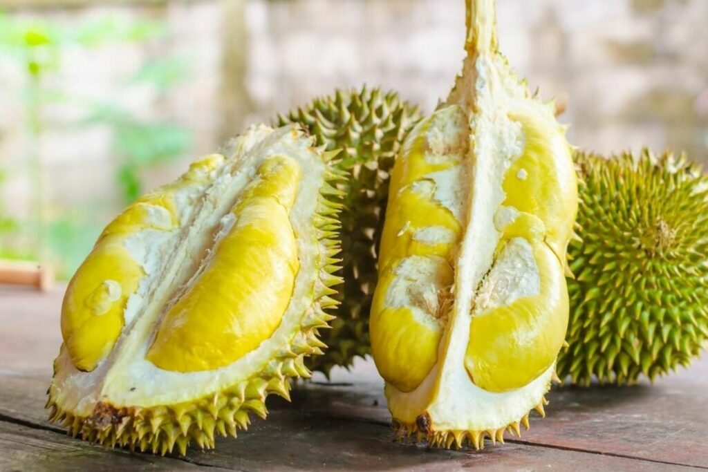 Large spikey durian fruit with yellow flesh