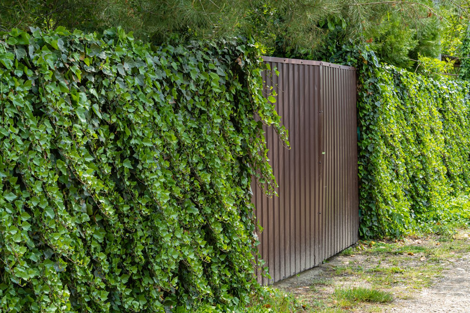 Climbing Plant Vertical Garden - Fake Vine Plants