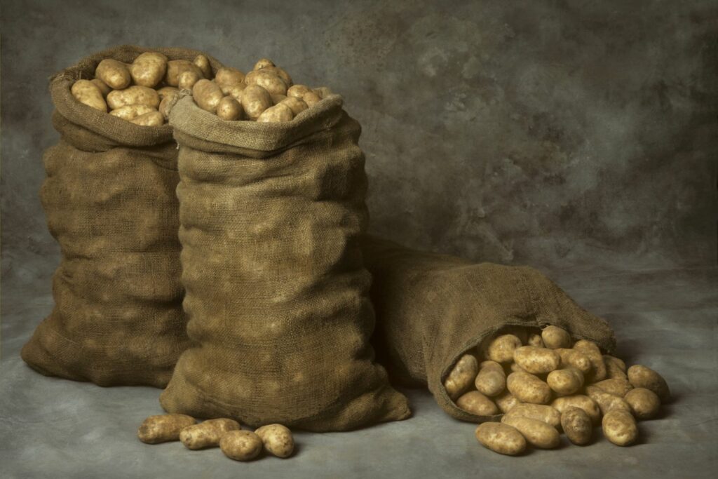 Potatoes stored in jute sacks