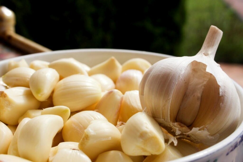 Garlic rests in a bowl of cloves