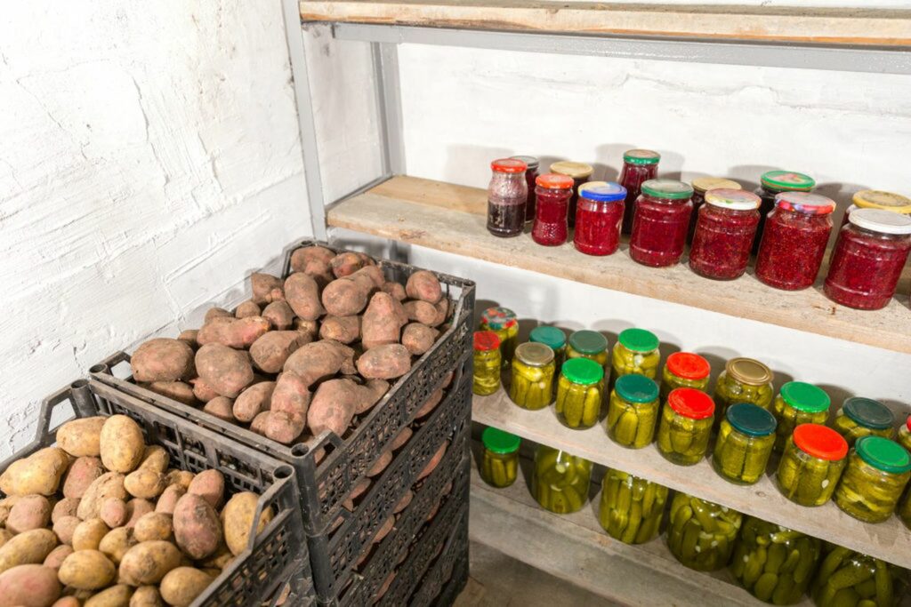 Potatoes stored in a cellar along with jarred goods