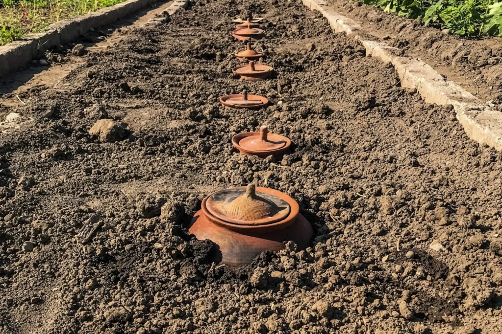 Ollas irrigation  Irrigation diy, Home vegetable garden, Clay pot