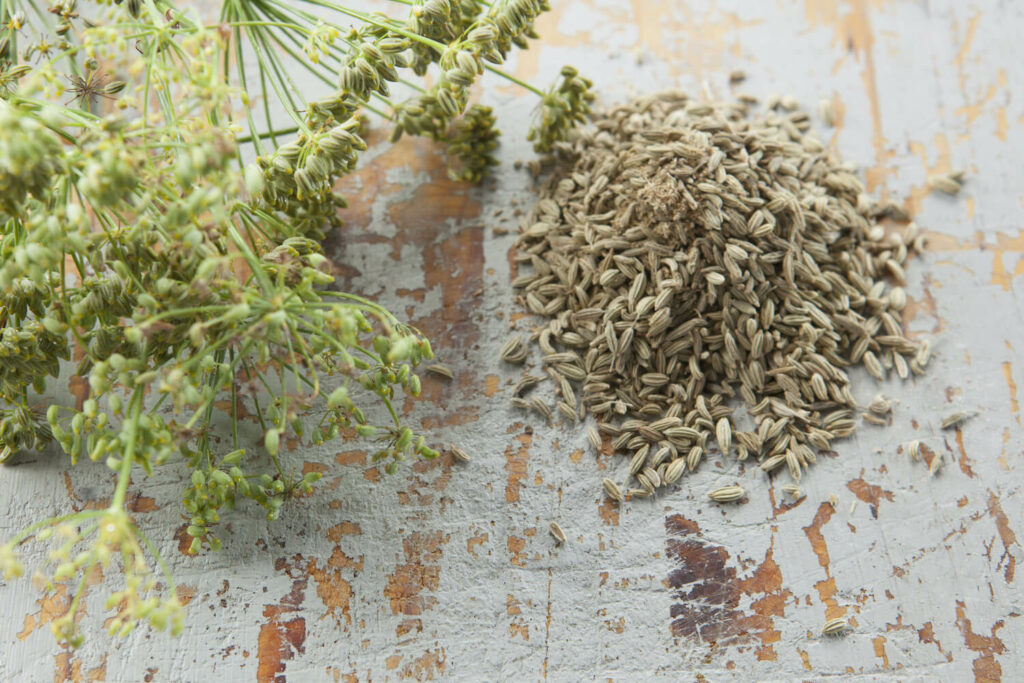 A pile of fennel seeds on a rustic wood