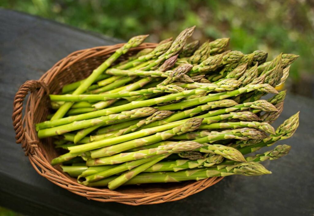 Fresh green asparagus in season