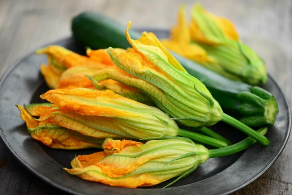 Fresh harvested courgette flowers