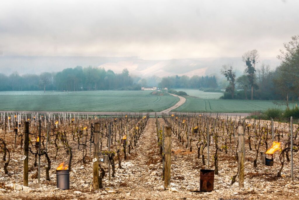 Frost protection candles in viticulture