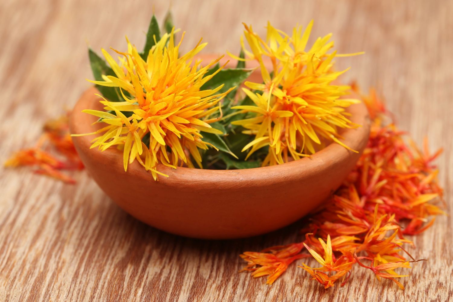 Safflower benefits, uses & planting Plantura