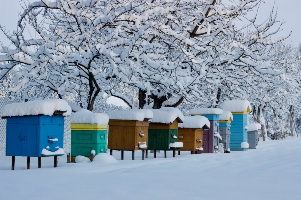 an apiary covered in snow