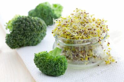 Broccoli sprouts: how to grow your own at home