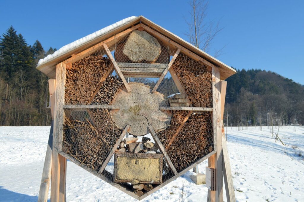 insect hotel in winter snow