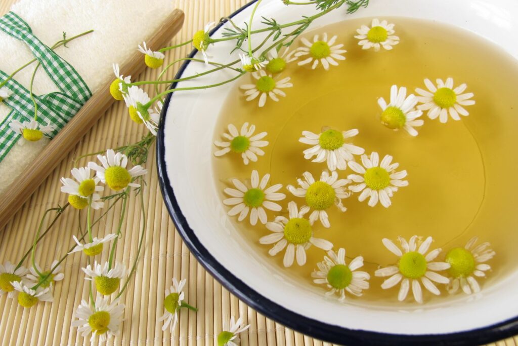 Chamomile blossom infused water