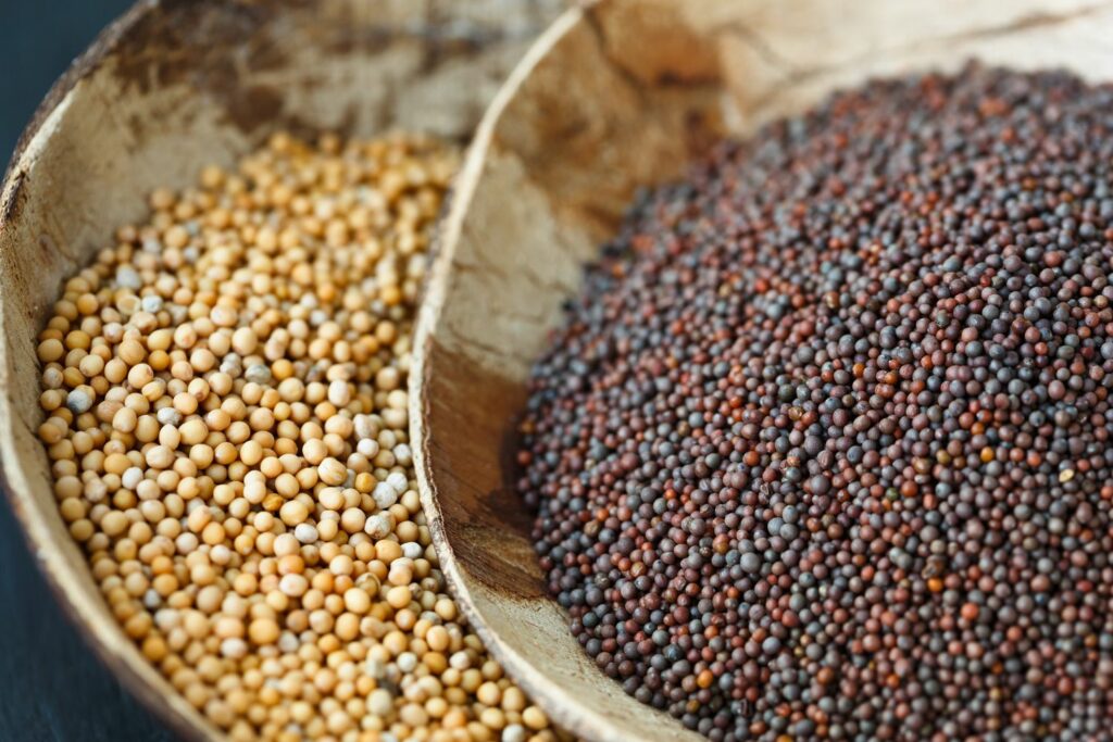 White and black mustard seeds