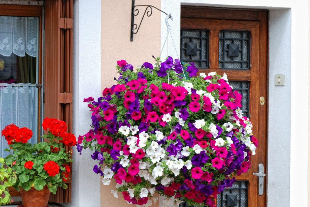 Pink, purple and white hanging plants