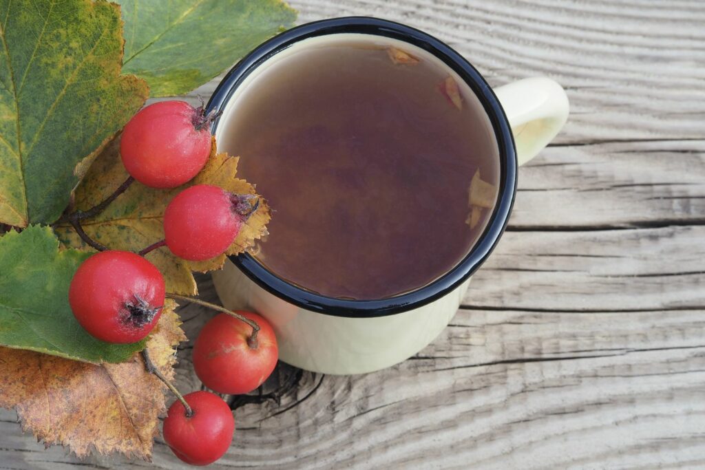 Hawthorn berries and tea