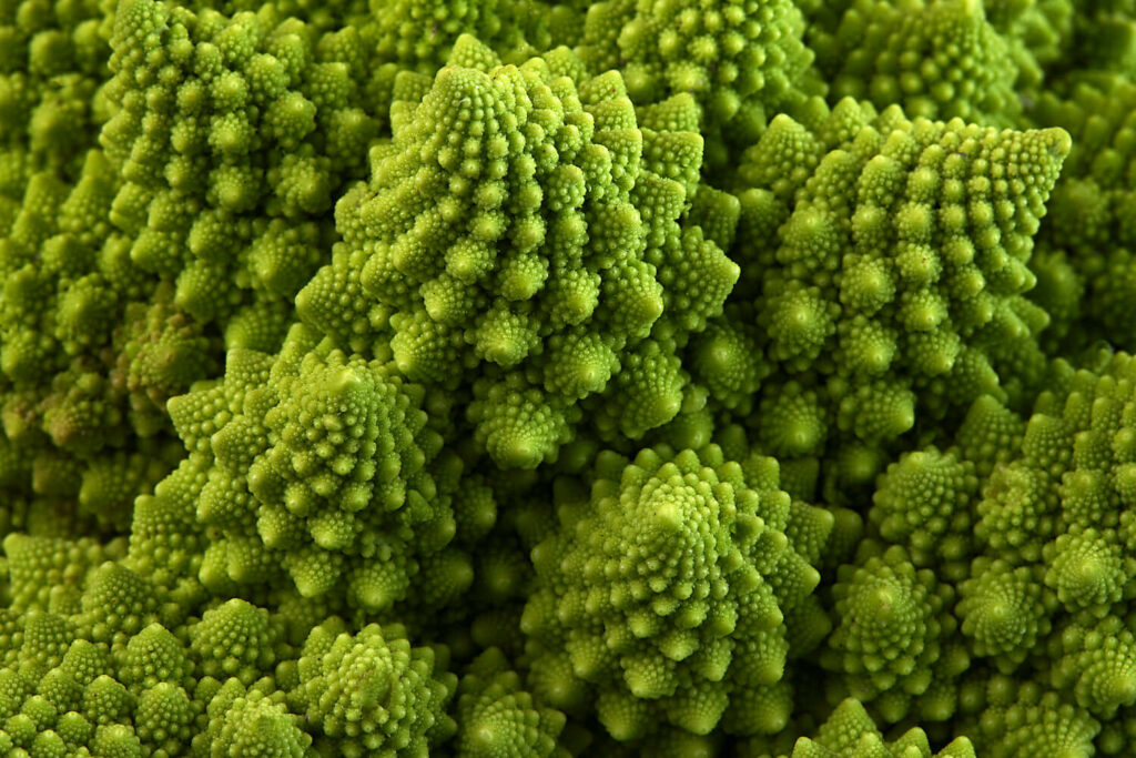 Spiral shaped Romanesco broccoli heads