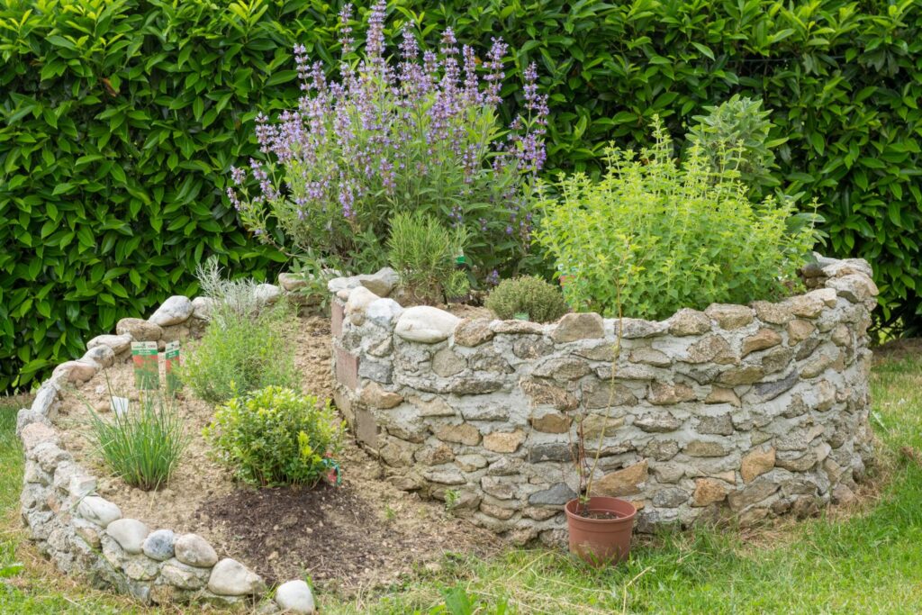 herb garden with stone wall