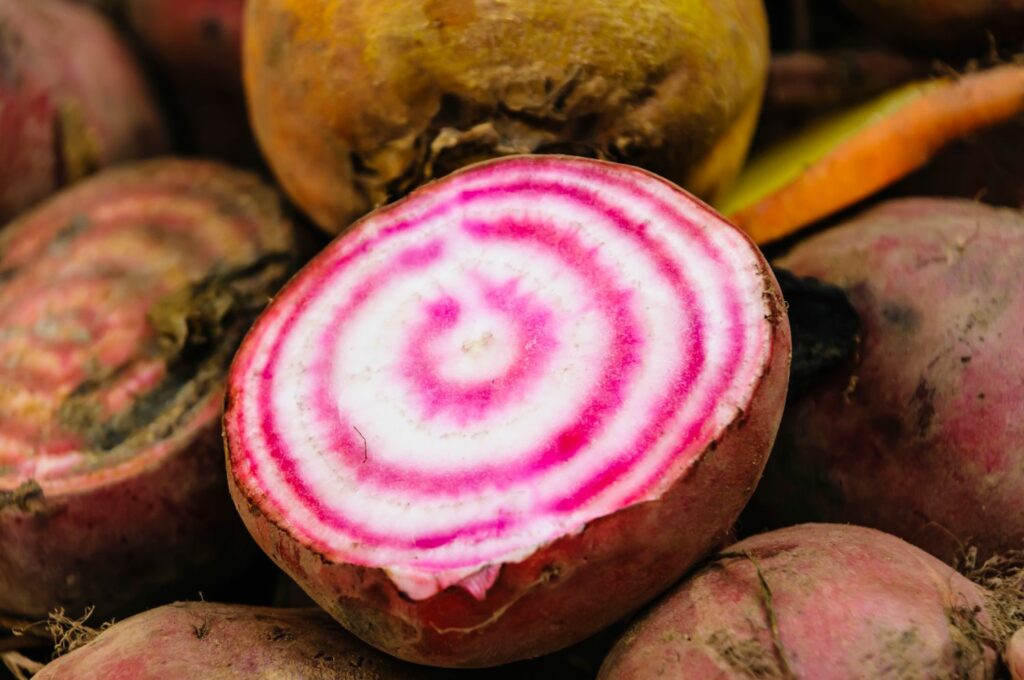 Rings inside the beetroot chioggia