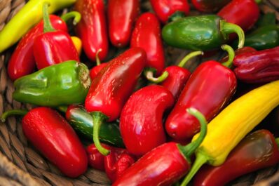 Types of chillies: mild & fiery hot varieties