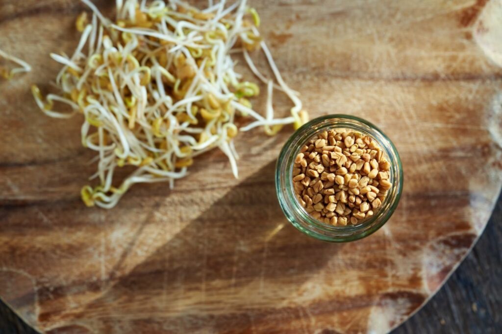 Fenugreek seeds and sprouts