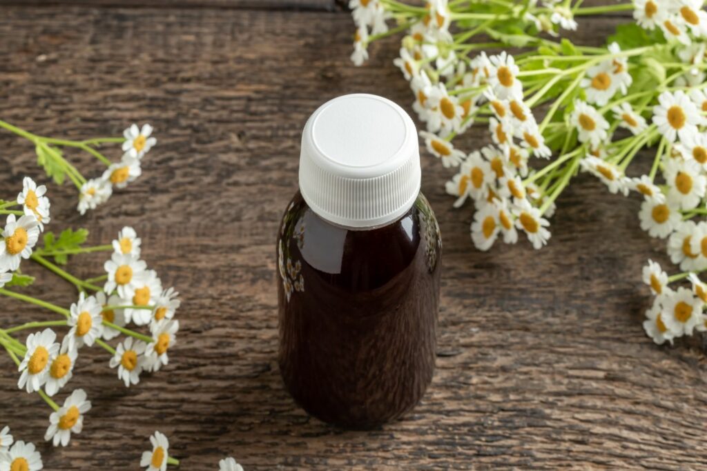 Feverfew medicinal uses