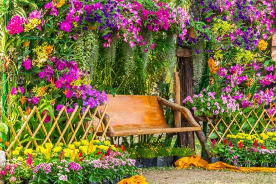 The 10 best fragrant flowers for garden & balcony