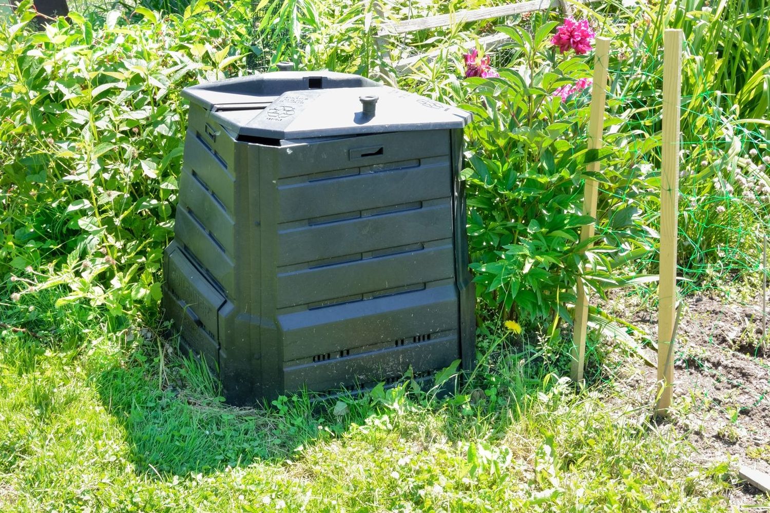 Composting how to make compost at home Plantura