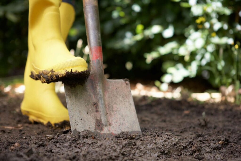 spade cutting into soil