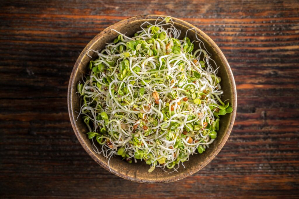 Fresh sprouts in wooden bowl