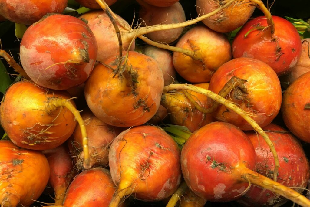 Whole yellow beetroot