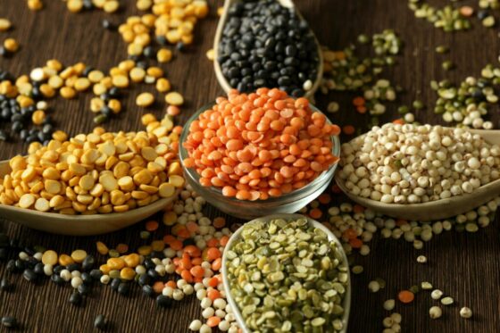 Types of lentils: the best lentil varieties