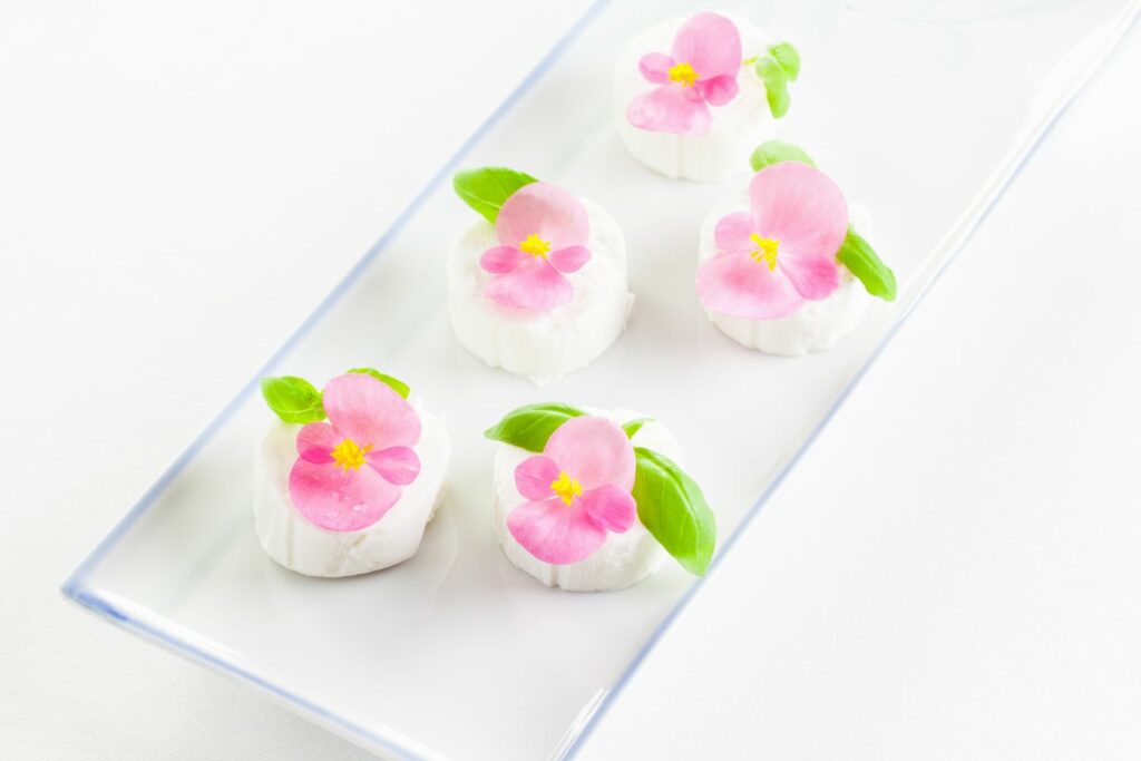 pink begonias on goat cheese